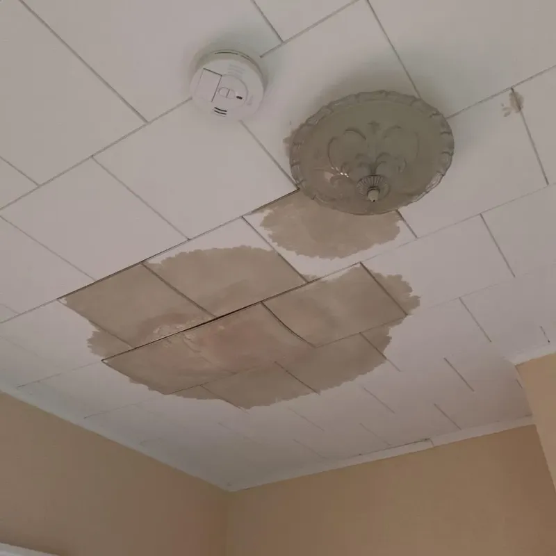 Ceiling Water Damage Repair in Enterprise, AL